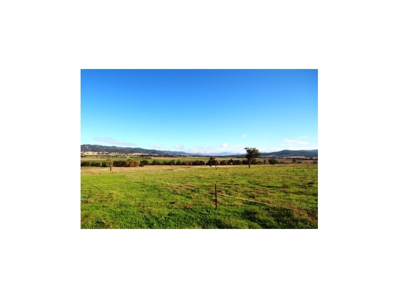 280 Moobi Road, Scone NSW 2337