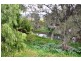 280 Moobi Road, Scone NSW 2337