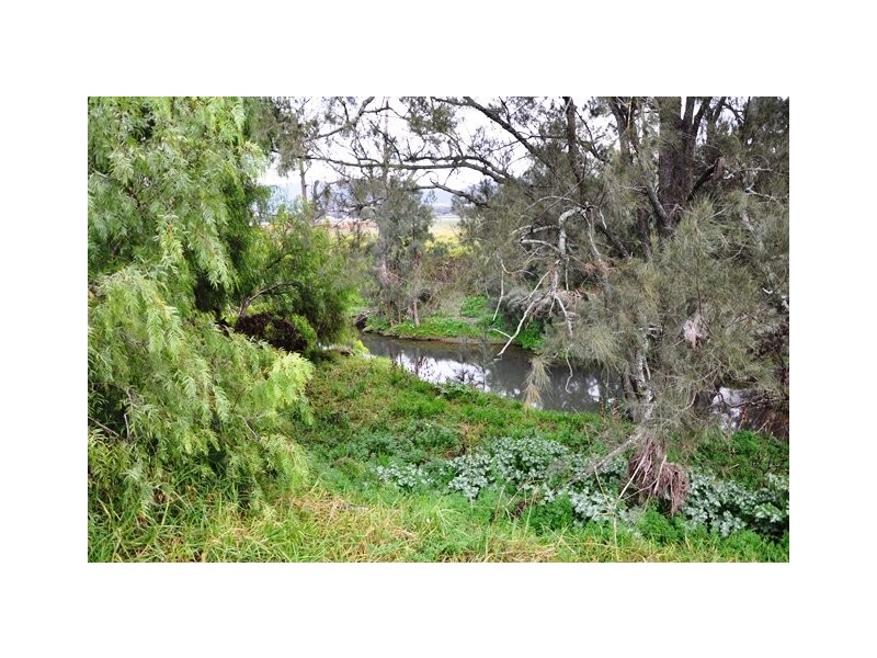 280 Moobi Road, Scone NSW 2337