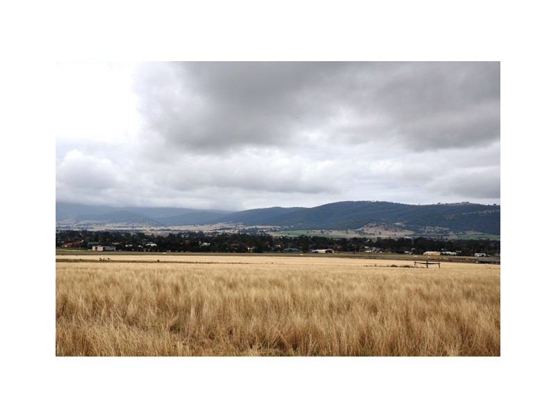 280 Moobi Road, Scone NSW 2337