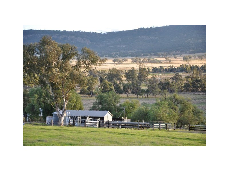 280 Moobi Road, Scone NSW 2337