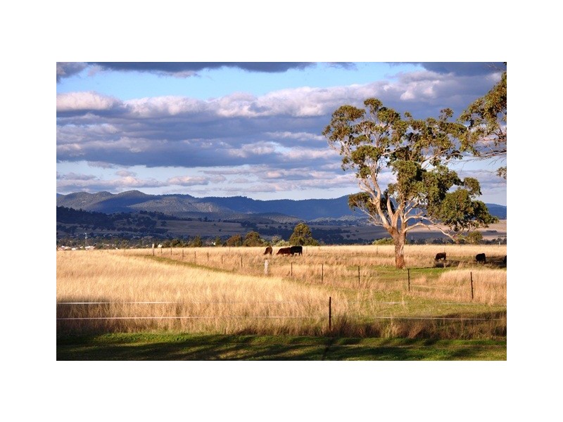 280 Moobi Road, Scone NSW 2337