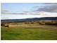 280 Moobi Road, Scone NSW 2337
