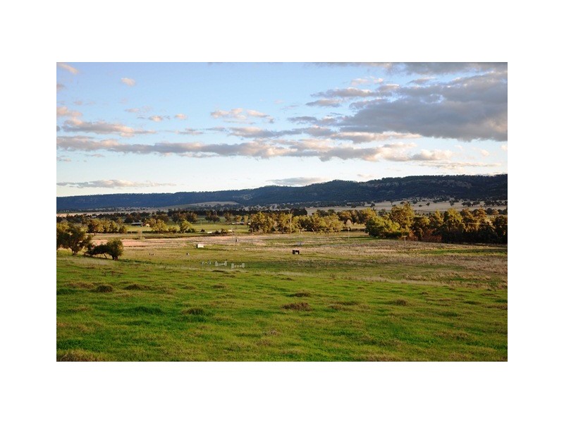 280 Moobi Road, Scone NSW 2337