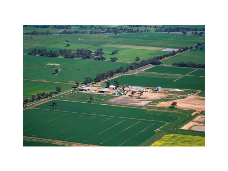 305 Coomboona Road, Coomboona VIC 3629