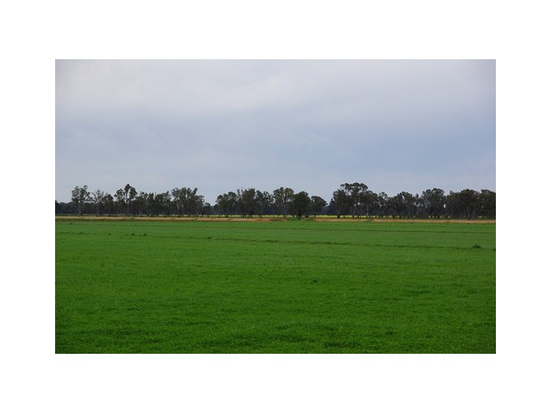 305 Coomboona Road, Coomboona VIC 3629