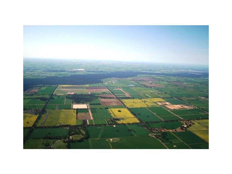 305 Coomboona Road, Coomboona VIC 3629