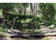 465 Dry Creek Road, Scone NSW 2337