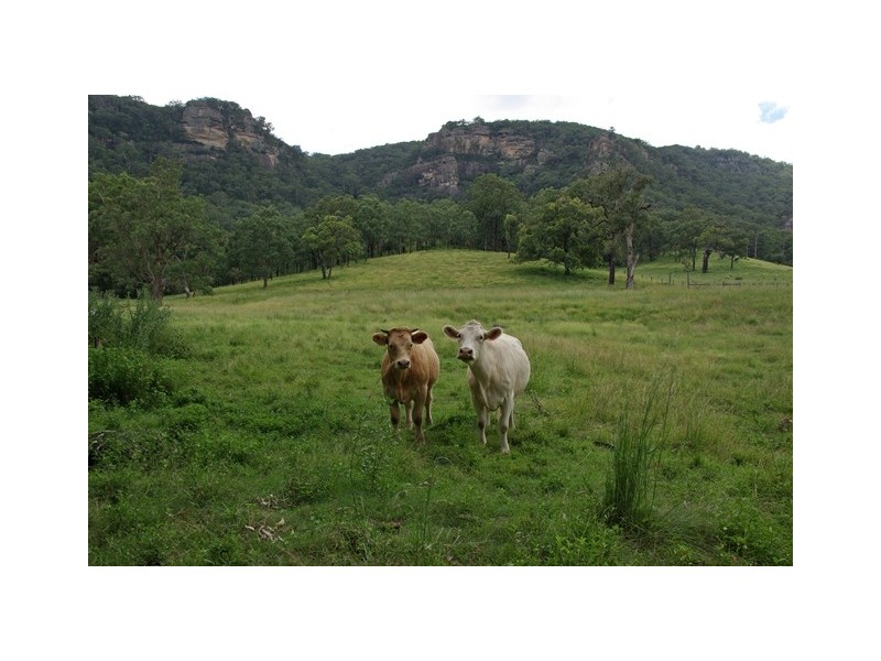 465 Dry Creek Road, Scone NSW 2337