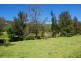 465 Dry Creek Road, Scone NSW 2337