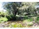 465 Dry Creek Road, Scone NSW 2337