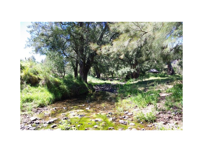 465 Dry Creek Road, Scone NSW 2337