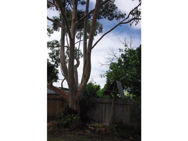 21 Smith Street, Scone NSW 2337