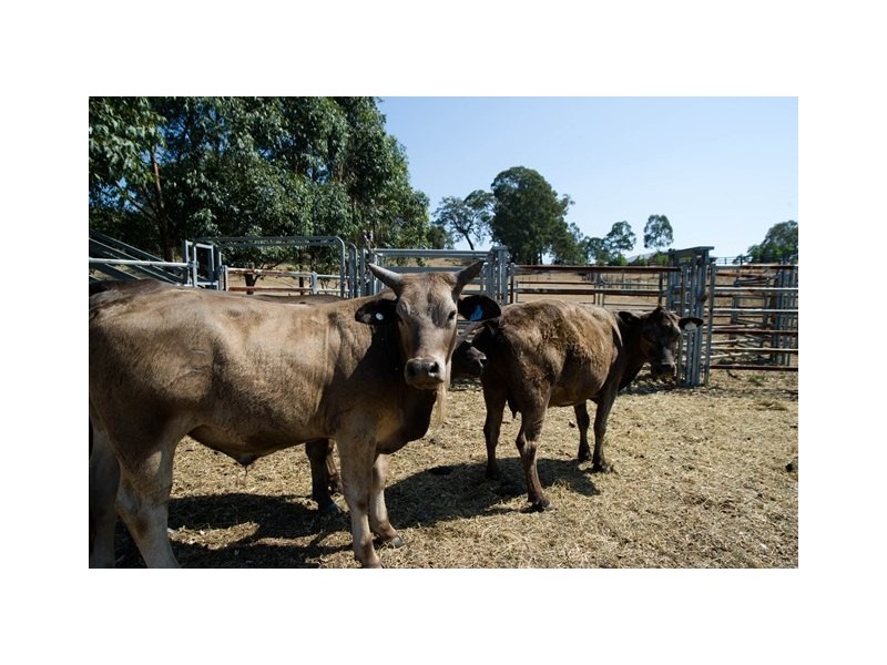 182 Winters Road, Scone NSW 2337