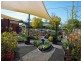 51 Main Street, Scone NSW 2337