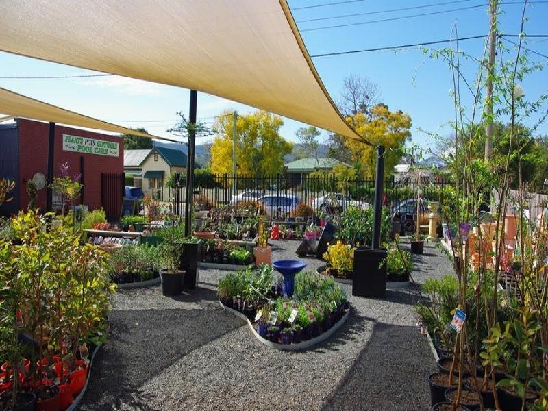 51 Main Street, Scone NSW 2337