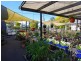 51 Main Street, Scone NSW 2337