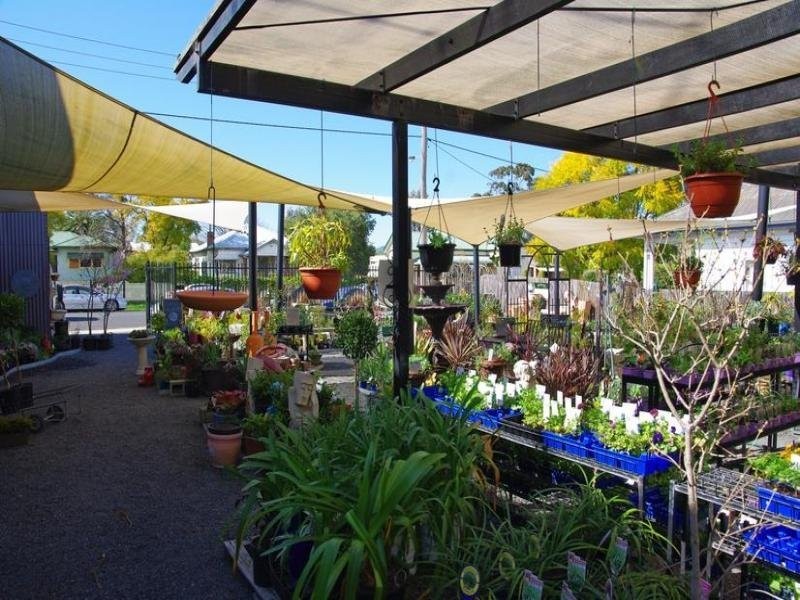 51 Main Street, Scone NSW 2337
