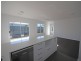Scone NSW 2337