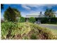 203 MacQueen St, Aberdeen NSW 2336