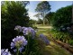 203 MacQueen St, Aberdeen NSW 2336