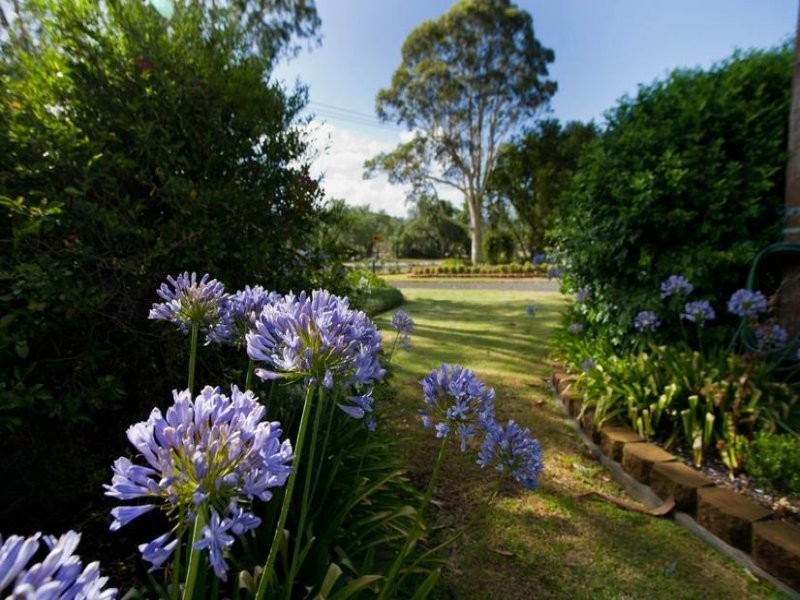 203 MacQueen St, Aberdeen NSW 2336