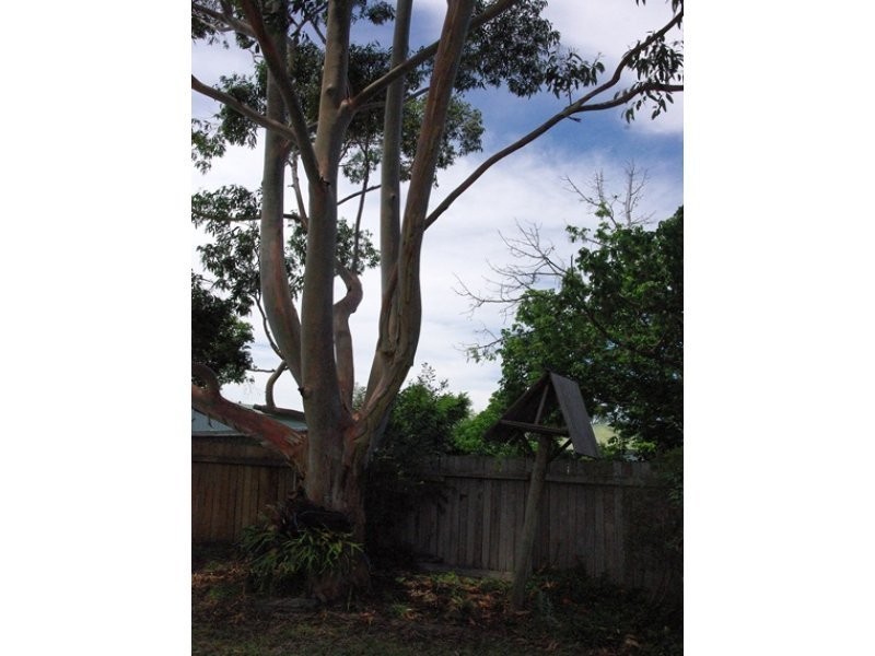 21 Smith Street, Scone NSW 2337