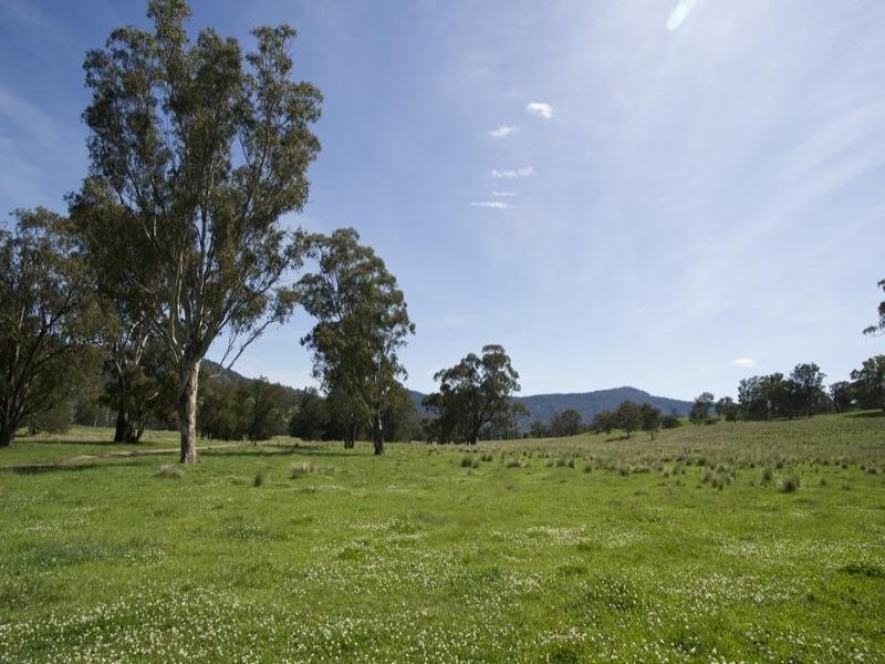 . Singles Creek 543 Pages River Road, Murrurundi NSW 2338