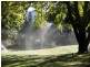 . Singles Creek 543 Pages River Road, Murrurundi NSW 2338