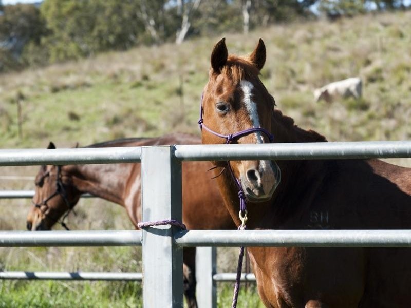 . Singles Creek 543 Pages River Road, Murrurundi NSW 2338