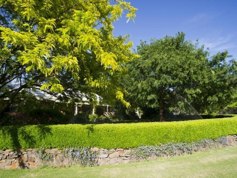 . Singles Creek 543 Pages River Road, Murrurundi NSW 2338