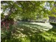 . Singles Creek 543 Pages River Road, Murrurundi NSW 2338