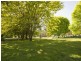 . Singles Creek 543 Pages River Road, Murrurundi NSW 2338