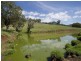 . Singles Creek 543 Pages River Road, Murrurundi NSW 2338