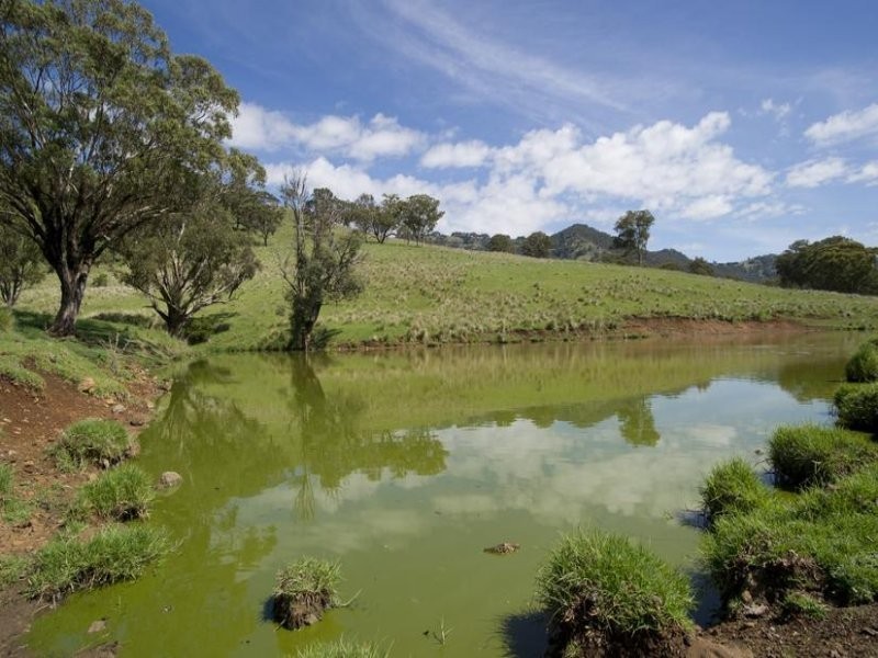 . Singles Creek 543 Pages River Road, Murrurundi NSW 2338