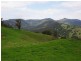 . Singles Creek 543 Pages River Road, Murrurundi NSW 2338
