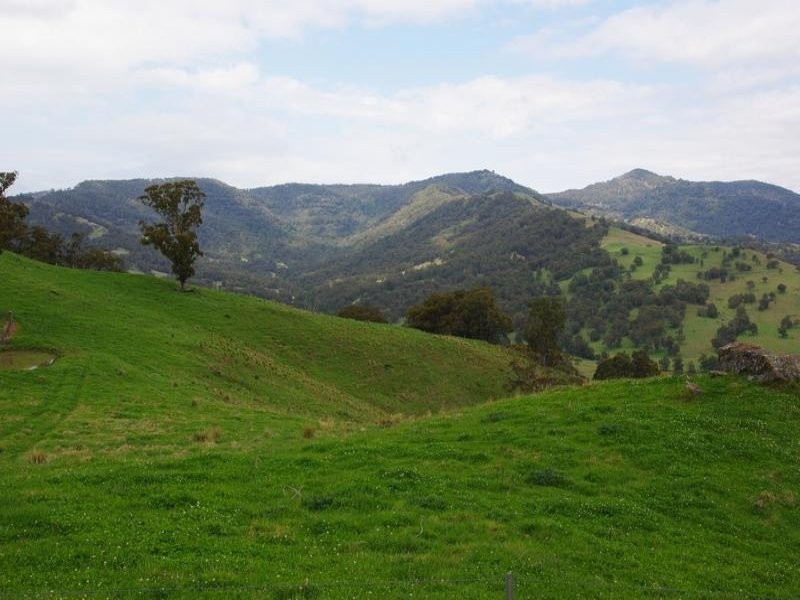 . Singles Creek 543 Pages River Road, Murrurundi NSW 2338