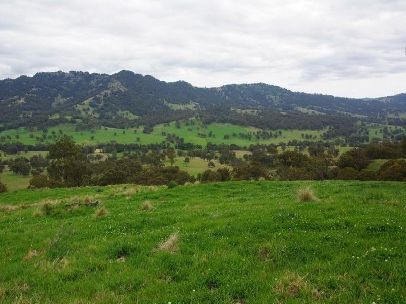 . Singles Creek 543 Pages River Road, Murrurundi NSW 2338