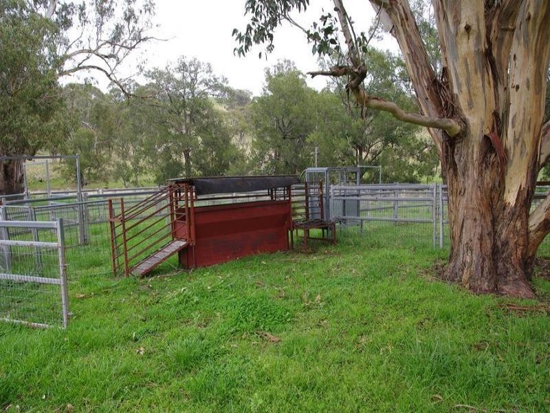 . Singles Creek 543 Pages River Road, Murrurundi NSW 2338