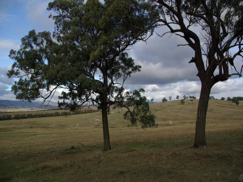 . Gundy Road, Scone NSW 2337