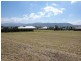 150 Moobi Road, Scone NSW 2337