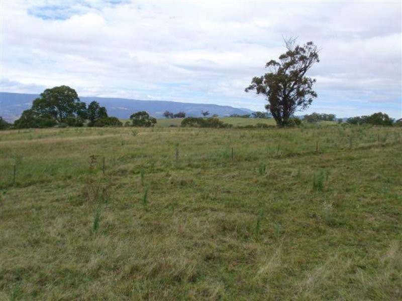 10 Pages Creek Road, Scone NSW 2337
