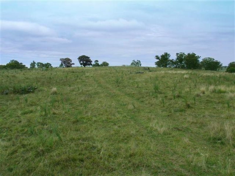 10 Pages Creek Road, Scone NSW 2337