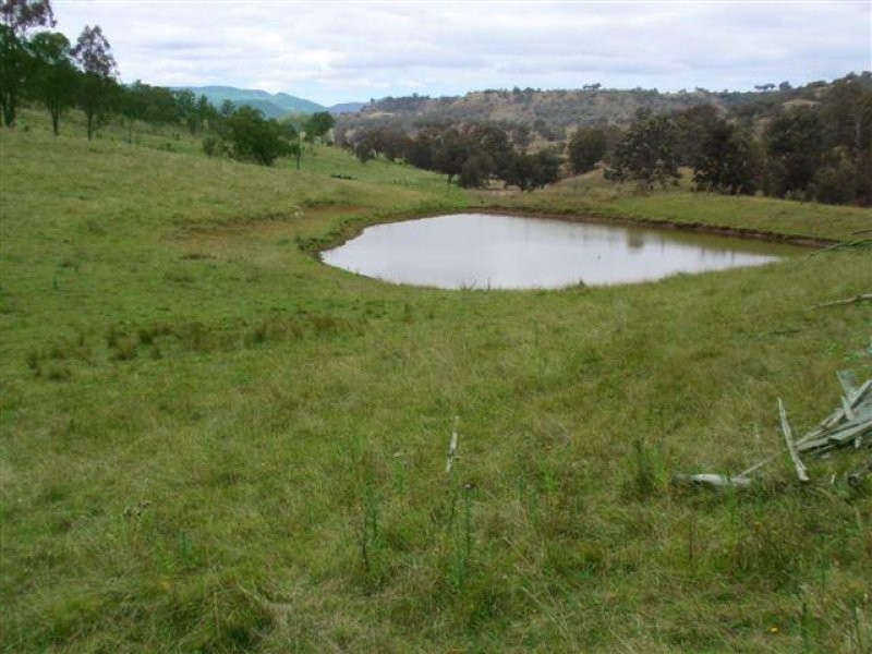 10 Pages Creek Road, Scone NSW 2337
