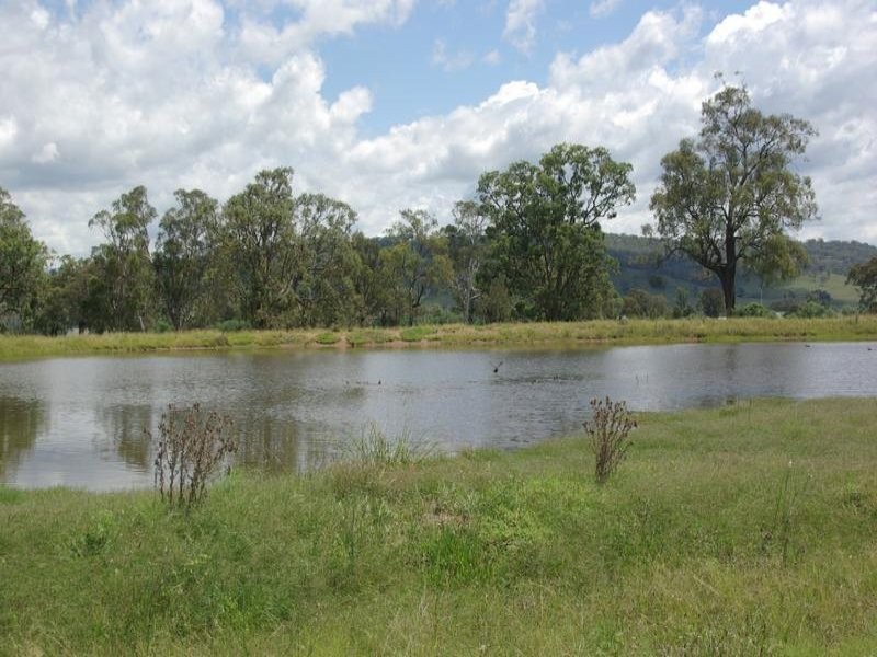 Alfred Brown Lane, Parkville NSW 2337