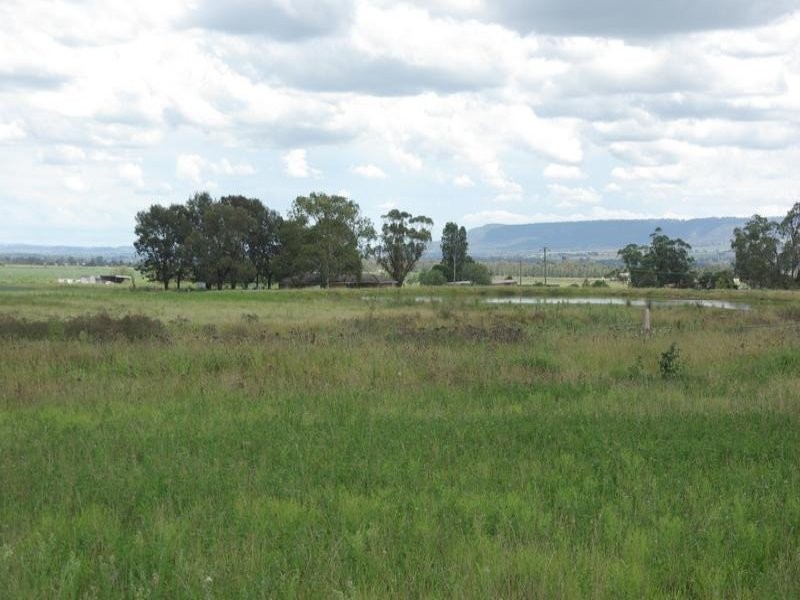 Alfred Brown Lane, Parkville NSW 2337