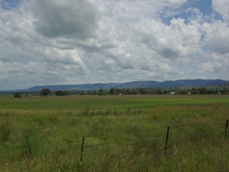 Alfred Brown Lane, Parkville NSW 2337