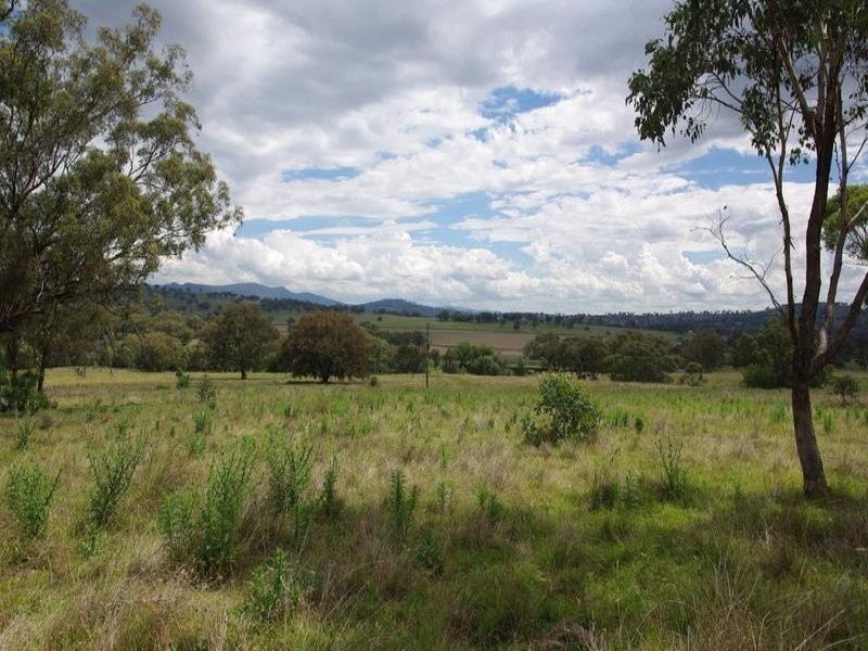 102 New England Highway, Willow Tree NSW 2339