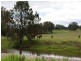 102 New England Highway, Willow Tree NSW 2339