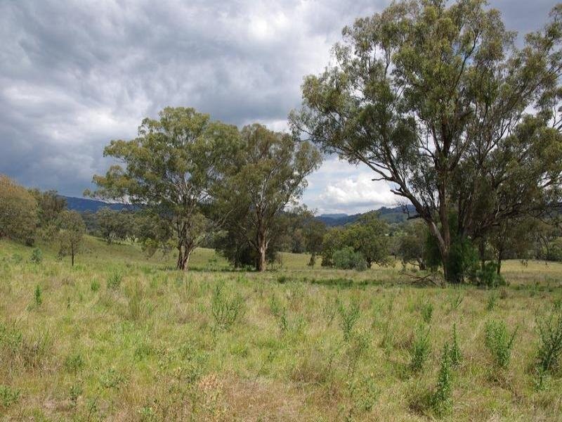 102 New England Highway, Willow Tree NSW 2339